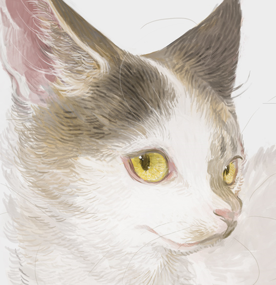 アイコン